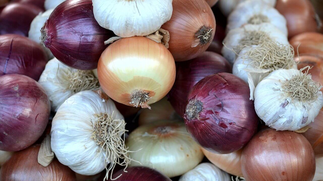 onions garlics